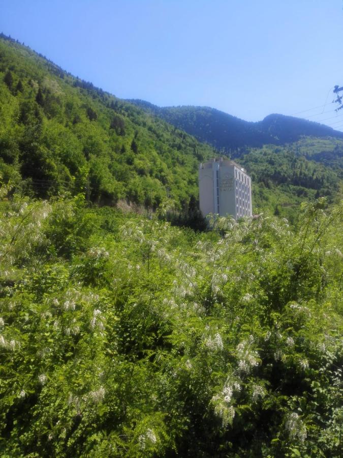 Jolnar Garden Hotel Macka Buitenkant foto